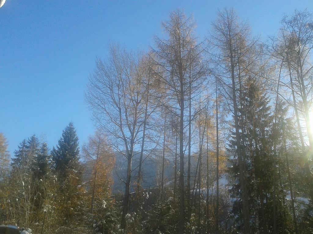 Haus Roland Lägenhet Zell am Ziller Exteriör bild